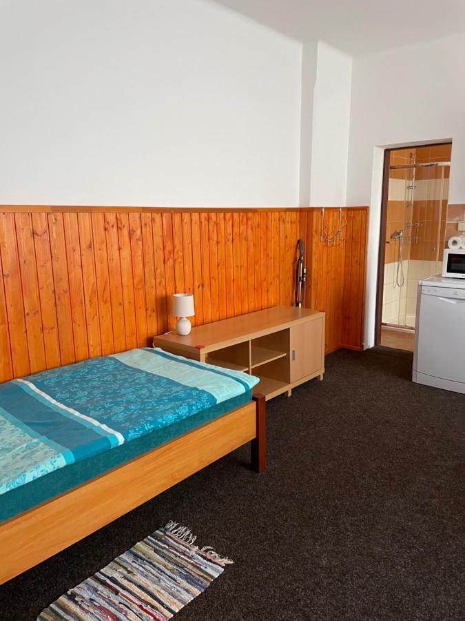 Garsoniera V Roddinem Dome Guest House Dubice Ngoại thất bức ảnh